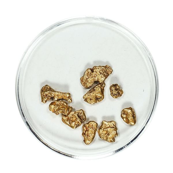 Gold Nuggets 3.68 Grams Total Weight