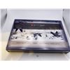 Image 2 : 2004 Canada Goose Specimen Set