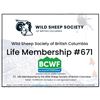 Image 1 : Wild Sheep Society of BC - Lifetime Membership