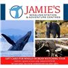 Image 1 : Jamie's Whaling Station - Whale or bear watching tour