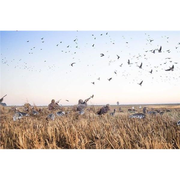 No Fly Zone Waterfowl Outfitters