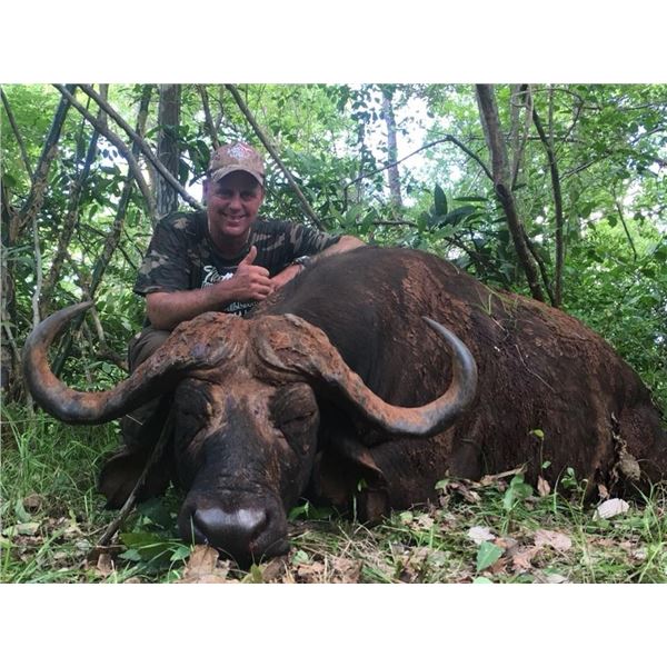 Tanzania Cape Buffalo