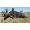 Image 2 : Tanzania Cape Buffalo