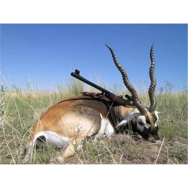 Blackbuck and Capybara in Argentina!