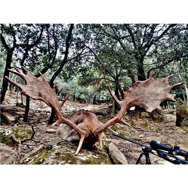 Hunt and Tour Experience in Spain