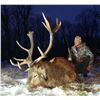 Image 3 : CF Red Stag Hunt