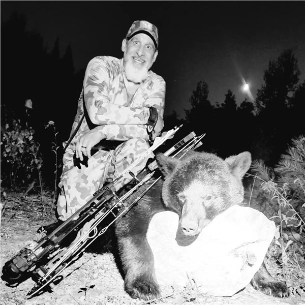 Black Bear Hunt with Dogs