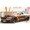 Image 3 : Shelby American Experience