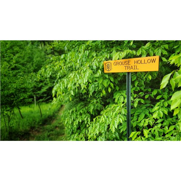 Trail Naming Rights