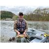 Image 13 : Fly Fishing the Amazing West Branch of the Delaware river for 1 or 2 fisherman
