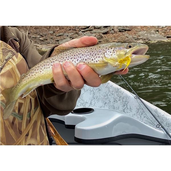 Fly Fishing the Amazing West Branch of the Delaware river for 1 or 2 fisherman