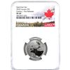 Image 1 : 25-cent 2020 Specimen Set, First Releases NGC SP69