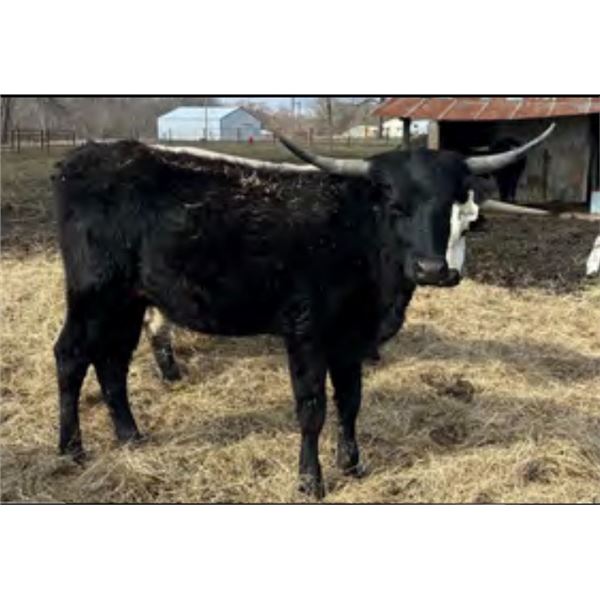 S-A SleepyMaybelline