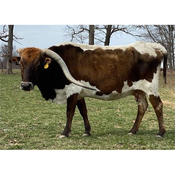 SCRATCH: GRAND OSAGE PC98