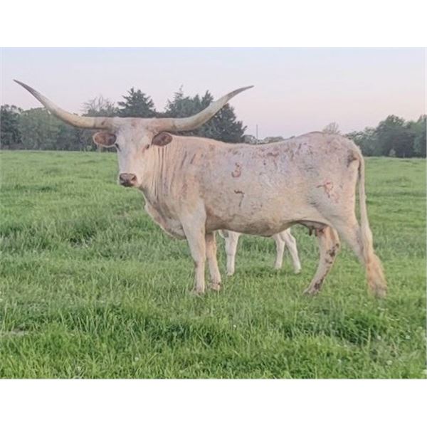 SUB LOT - TP Bon Bon