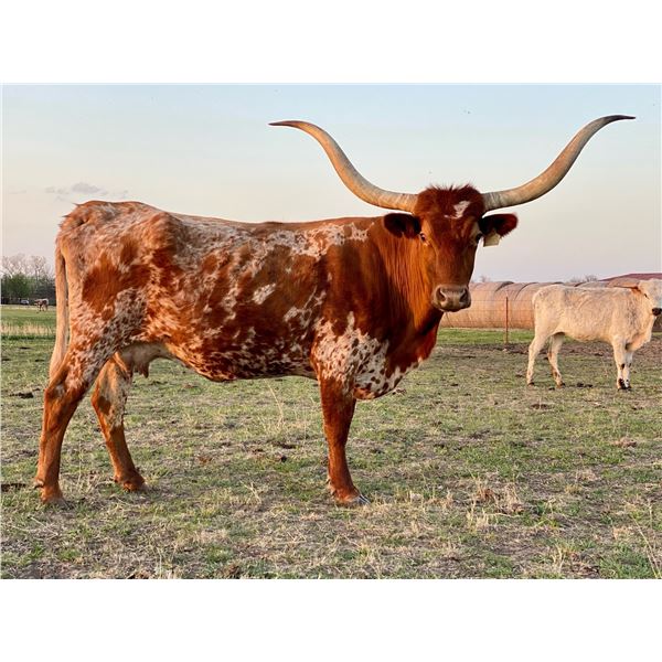 Commanders Pearl EOT 409