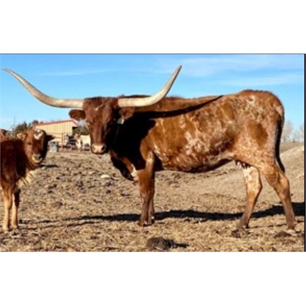 Titan's Star EOT 821