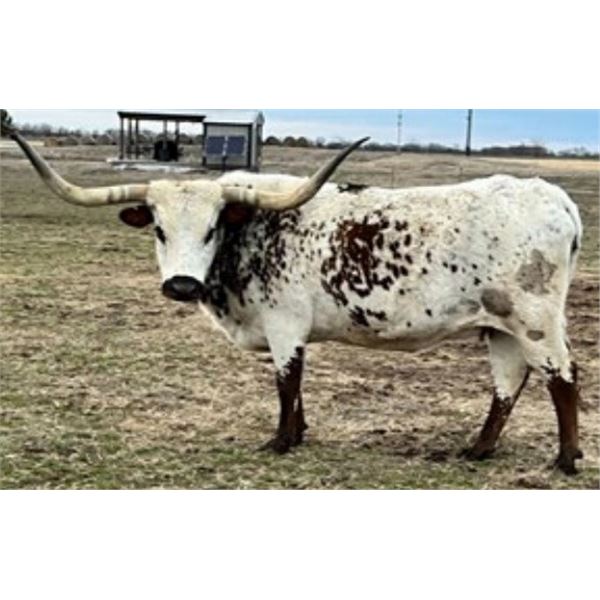 MONEY IN THE BANK BCB