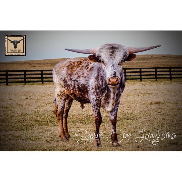 Midwest Diamond Rush