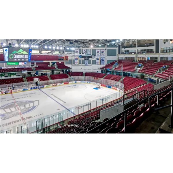 Idaho Steelheads Deluxe Hockey Night