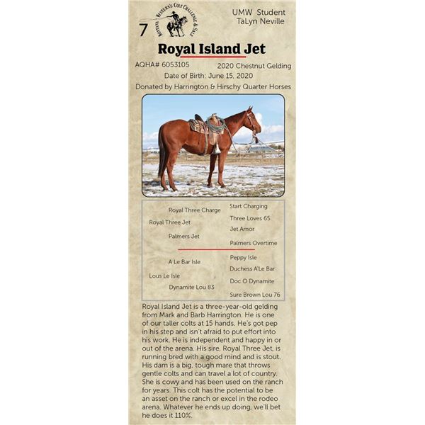 ROYAL ISLAND JET