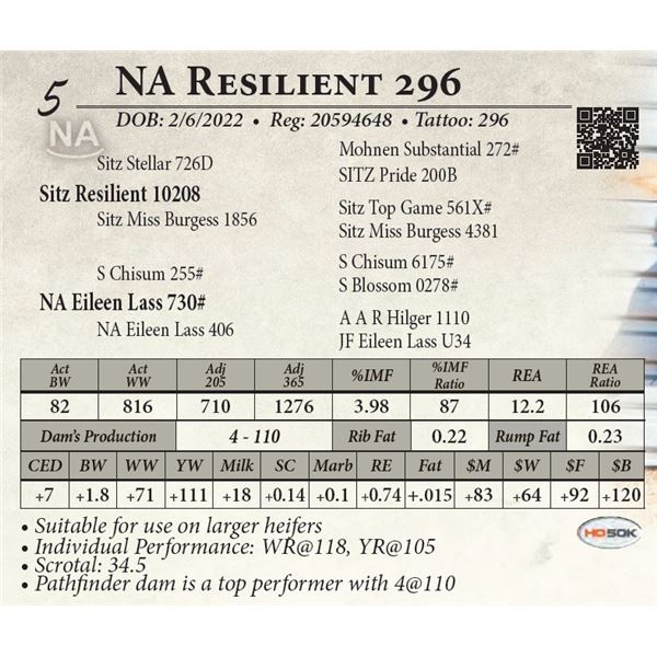 NA Resilient 296