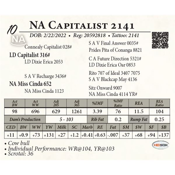 NA Capitalist 2141