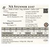 Image 1 : NA Stunner 2107