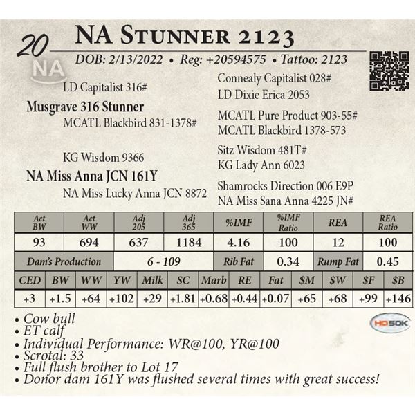 NA Stunner 2123