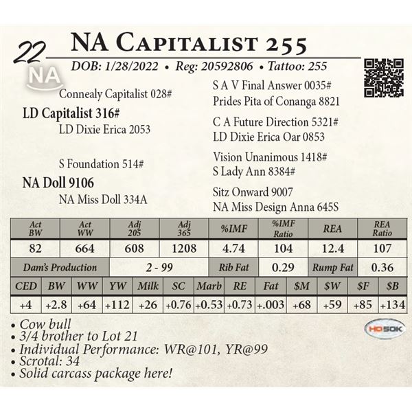 NA Capitalist 255