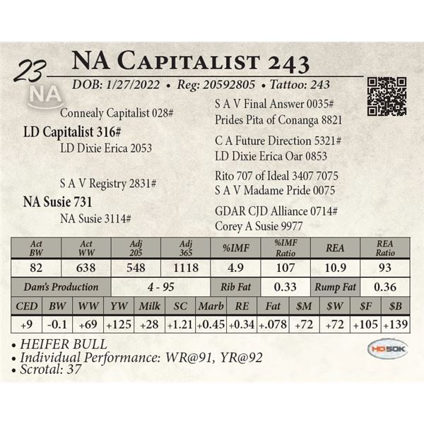 NA Capitalist 243