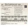 Image 1 : NA Capitalist 243