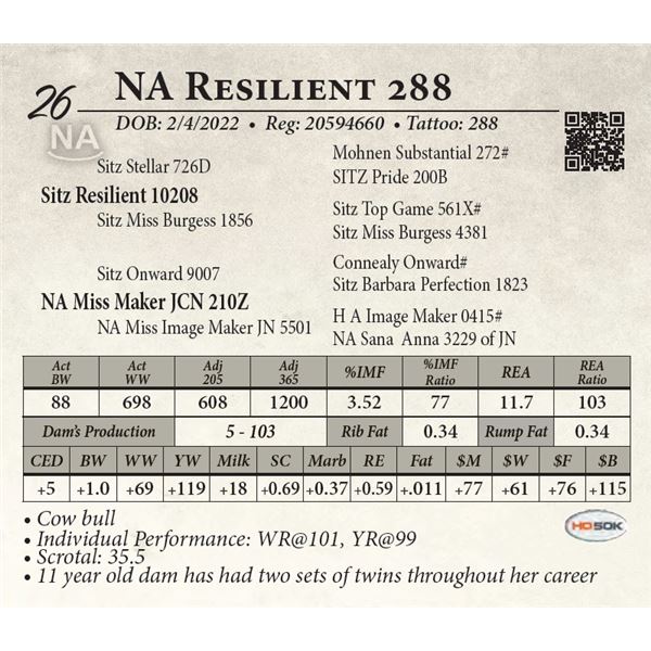 NA Resilient 288