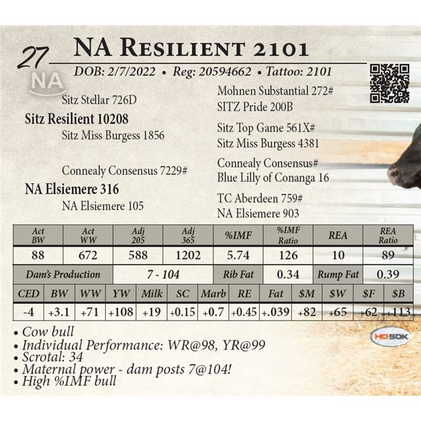 NA Resilient 2101