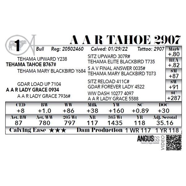 A A R Tahoe 2907