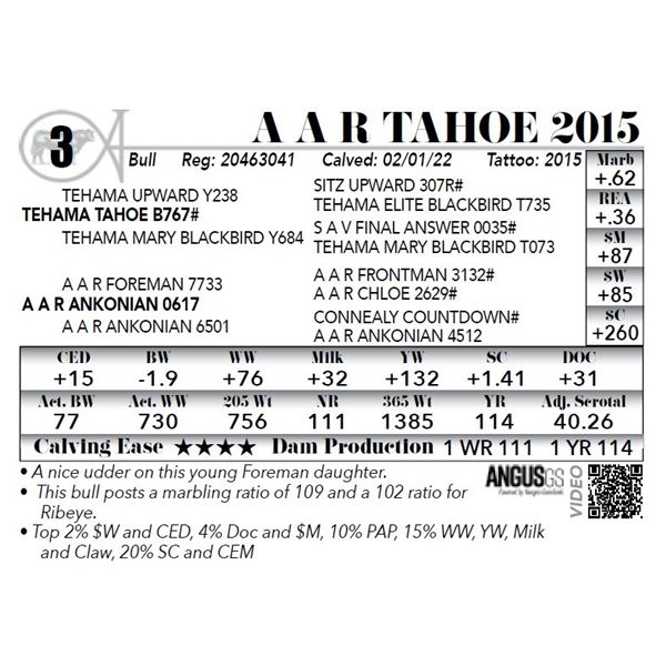 A A R Tahoe 2015