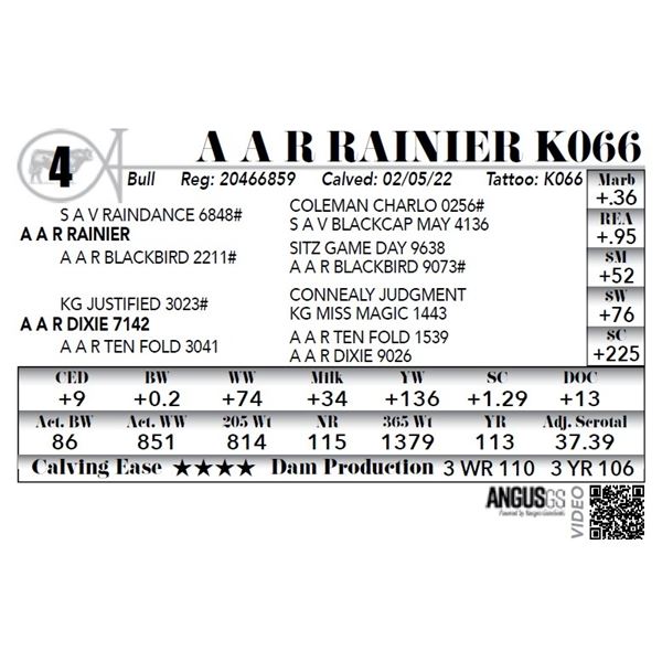 A A R Rainier K066