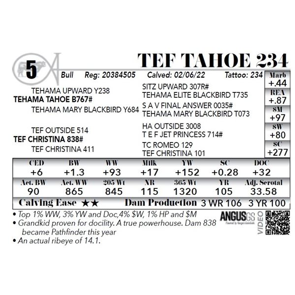 TEF Tahoe 234