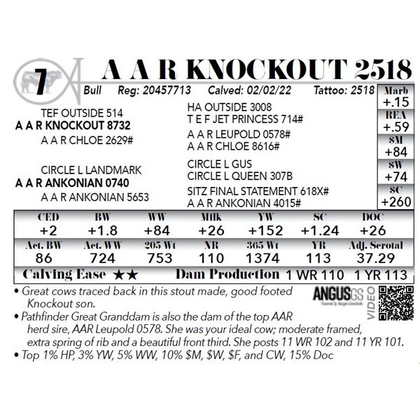 A A R Knockout 2518