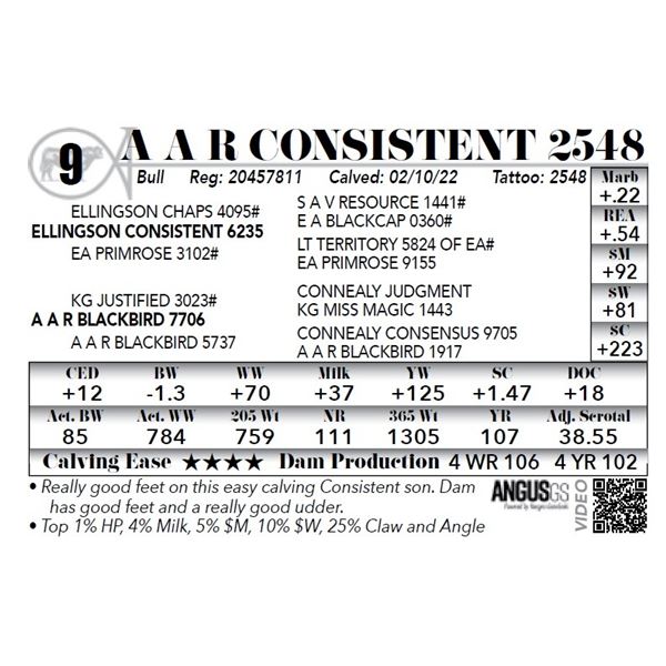 A A R Consistent 2548