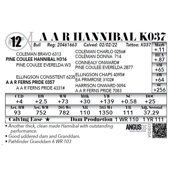 A A R Hannibal K037