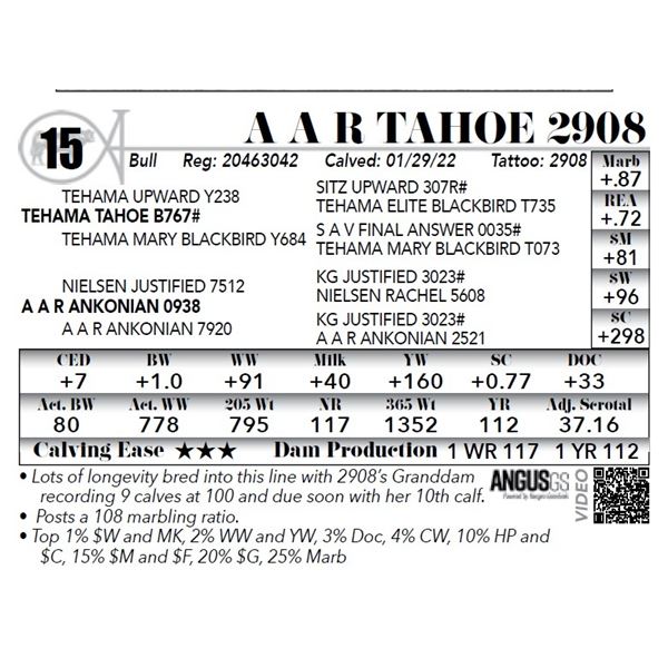 A A R Tahoe 2908