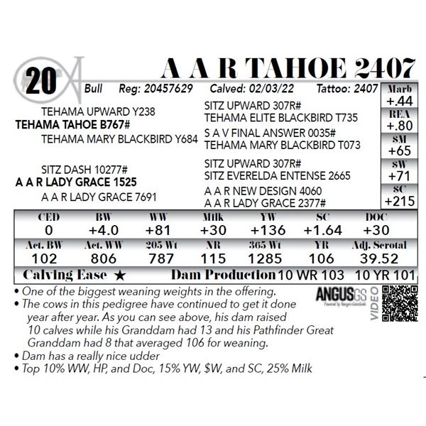 A A R Tahoe 2407