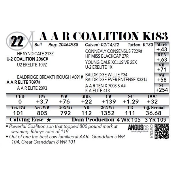 A A R Coalition K183