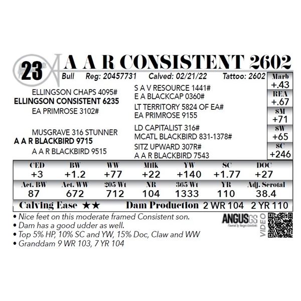 A A R Consistent 2602