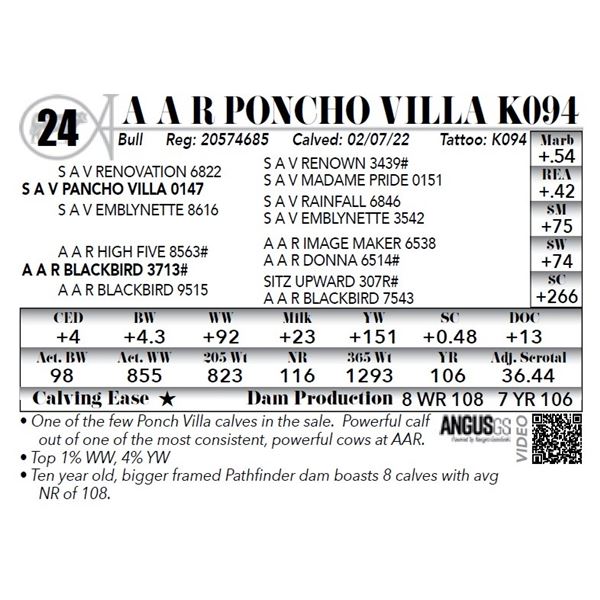 A A R Poncho Villa K094