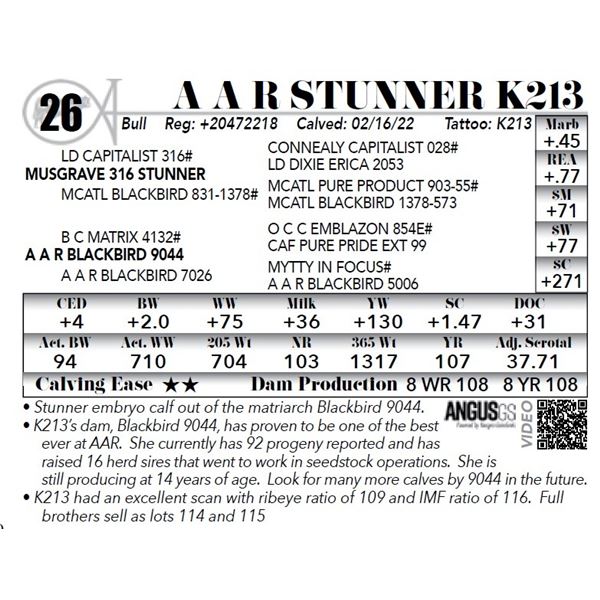 A A R Stunner K213