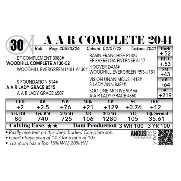A A R Complete 2041