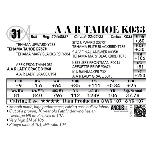 A A R Tahoe K033