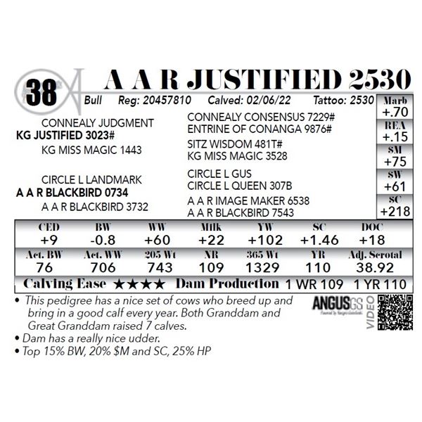 A A R Justified 2530